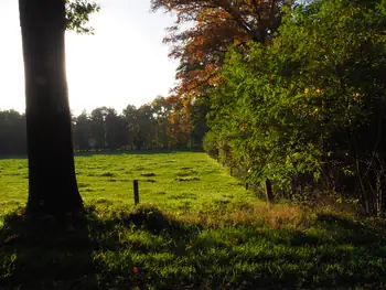 Vagevuurbos en Lippensgoed-Bulskampveld (België)